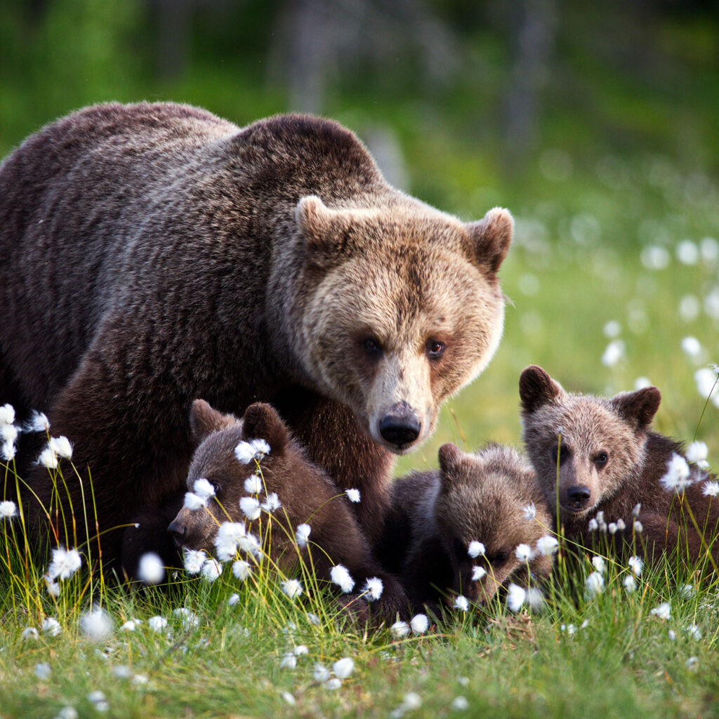 Western Conservation Leadership Development Program