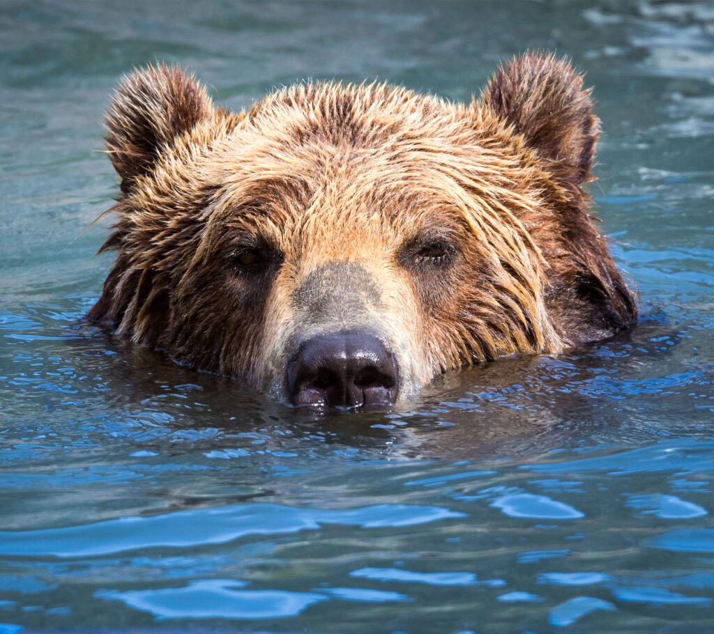 Western Conservation Leadership Development Program