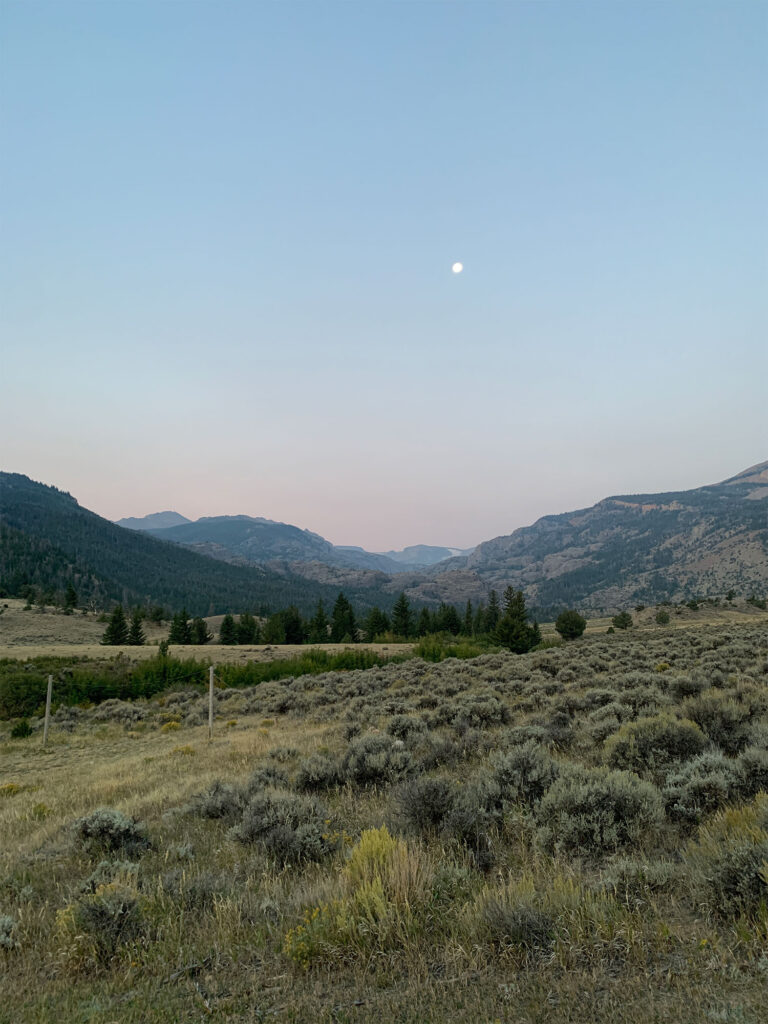 Western Conservation Leadership Development Program