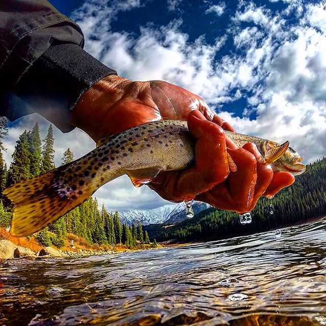 Western Conservation Leadership Development Program