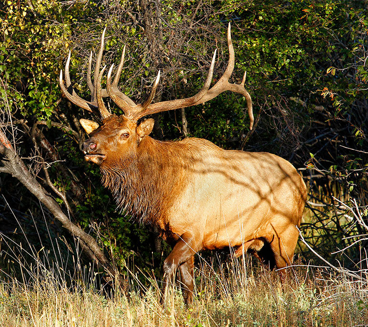 Western Conservation Leadership Development Program