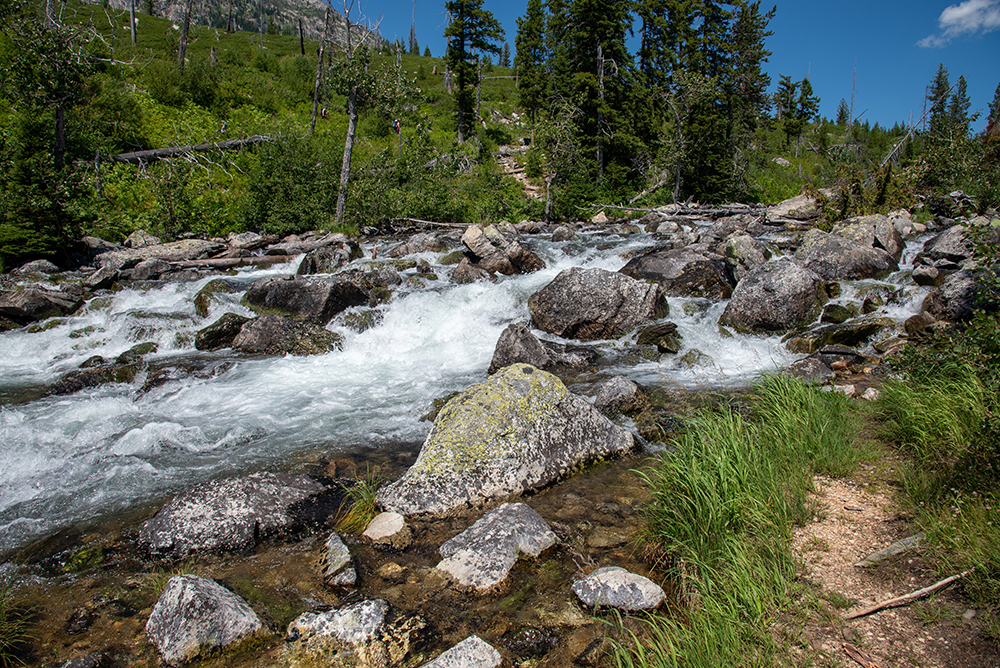 Western Conservation Leadership Development Program Course - Built to Last: A Resilience Course for Western Conservationists