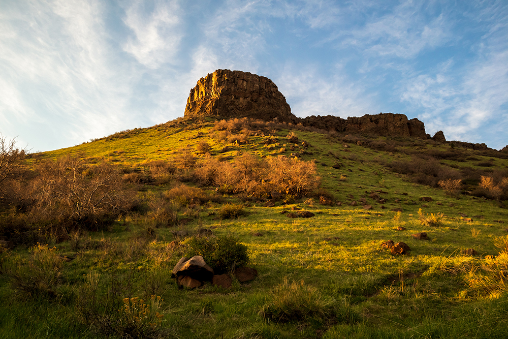 Western Conservation Leadership Development Program Course - Built to Last: A Resilience Course for Western Conservationists